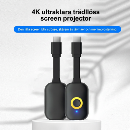 CastFlow™ – Plug & Play Skärmdelning Utan Krångel