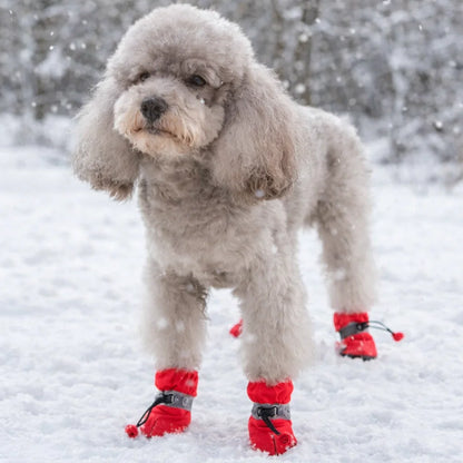 FrostPaw™ Vattentäta Hundstövlar – Skydd mot Snö & Vägsalt 1+1 GRATIS